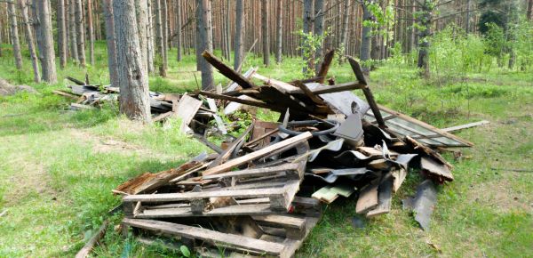 Debris Removal Service in Rockville
